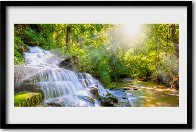 Produktbild von Bild 60x40 MDF-Rahmen Wandkunst Wald Wasserfall Natur