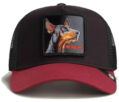 Produktbild von Cap Goorin Bros  für Uni