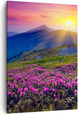 Produktbild von Bild auf Leinwand - Leinwandbild - Einteilig - Wiese Berge Landschaft - 50x70cm - Wand Bild - Wanddeko - Wandbilder - Leinwanddruck - Wanddekoration - Leinwand bilder - Wandbild - PA50x70-2676