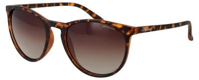 Produktbild von Polaroid Sonnenbrille PLD 6003/N/S V08LA 54 Uni Braun
