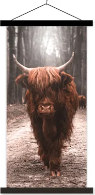 Produktbild von MuchoWow® Textilposter Schottisches Hochlandrind - Wald - Kuh - Tiere - Natur 60x120 cm mit schwarzem Rahmen - Magnete