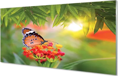 Produktbild von Glasbilder 140x70 Wandkunst Bunte Schmetterlinge Blumen