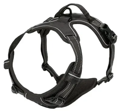 Produktbild von Halsband und Leine Set für Hunde