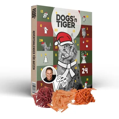 An advent calendar for cats, featuring a cat wearing a Santa hat and scarf, with a picture of Guido Maria Kretschmer and piles of cat treats in the foreground.
