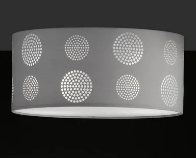 Zdjęcie produktu dla Lampa sufitowa - plafon JOONA Honsel 29472