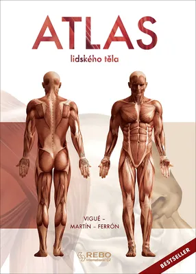 Immagine prodotto di Atlas lidského těla | kolektiv