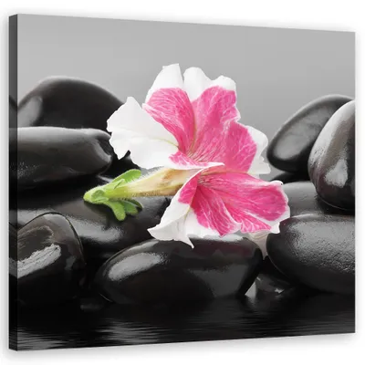 Produktbild von Leinwandbild Rosa Blume auf Zen-Steinen 60x60 Feeby Schwarz bild für die wand bereit zum aufhängen