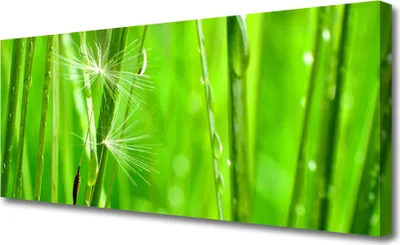 Produktbild von Tulup Leinwand-Bilder 125x50 Wandbild Canvas Kunstdruck Gras Pflanzen
