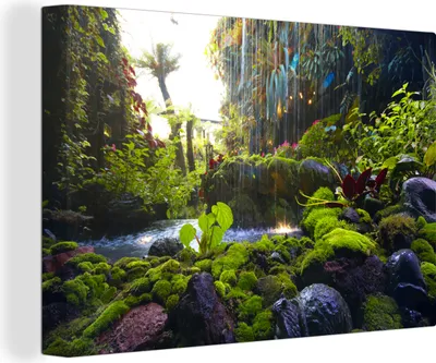 Produktbild von OneMillionCanvasses® - Leinwandbilder - 150x100 cm, Tropischer Regenwald mit Wasserfall, Wandbilder Kunstdruck Wanddekoration
