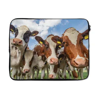Produktbild von MuchoWow® Laptop Hülle 17 Zoll Laptoptasche Kühe - Tiere - Wiese - Natur - Zipper - Schutzabdeckung
