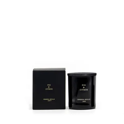 Obrázok produktu pre Vonná svíčka černá Fig & Citrus (Candle) 230 g