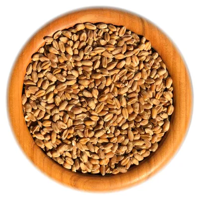 Produktbild von 25 kg. Boill Weizen - Einzelfuttermittel direkt vom Hersteller