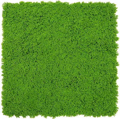 Produktbild von JANGAL Modular Wall Akustik 3D Paneele  520 x 520 mm Lime Green Design Moos Kunst Pflanzenwand Moospaneele