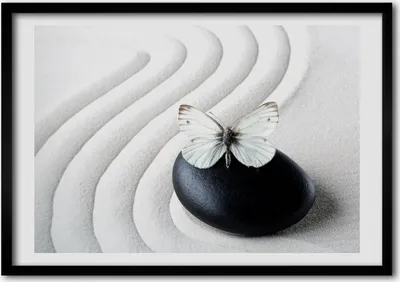 Produktbild von Bild - Bilder - Bilderrahmen - 70 cm x 50 cm - MDF-Rahmen, Wandkunst Zen Stein und Schmetterling