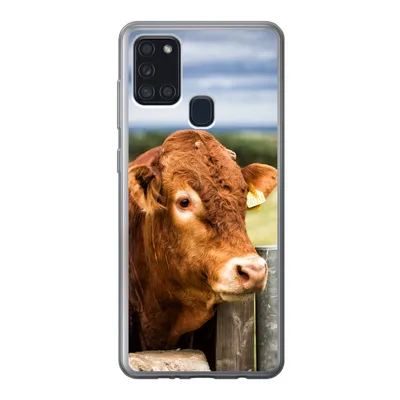 Produktbild von MuchoWow® Handyhülle Schutzhülle Hülle für Samsung Galaxy A21s Schottischer Highlander - Berg - Zaun Silikon Softcase Handy Hülle - Hartschale