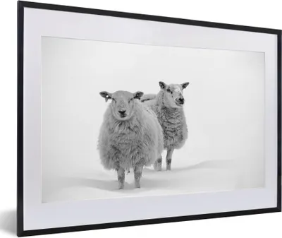 Produktbild von MuchoWow® Gerahmtes Poster Schafe - Schnee - Weiß 60x40 cm - Poster mit Schwarzem Bilderrahmen Wandposter Rahmen Foto Bilder - Schlafzimmer - Plakat in Rahmen - Drucken