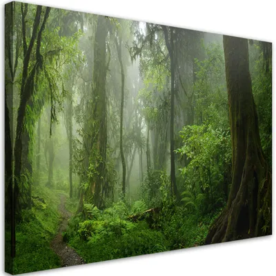 Produktbild von Leinwandbild Tropischer Dschungel 60x40 Feeby Grün bild für die wand bereit zum aufhängen