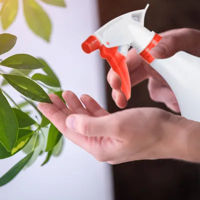 Produktbild von 12 x Sprühflasche Pflanzen, einstellbare Düse, 1 Liter Handsprüher, mit Skala, Kunststoff, Blumensprüher, weiß-grün