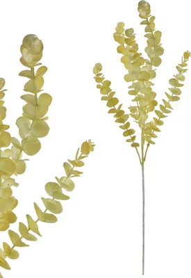 Imagen del producto de Ramo de eucalipto artificial, plástico Viridis AW25, 80 cm, color verde, 1 unidad