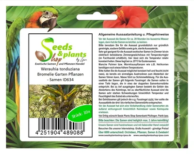 Produktbild von 10x Werauhia tonduziana Bromelie Garten Pflanzen - Samen ID634