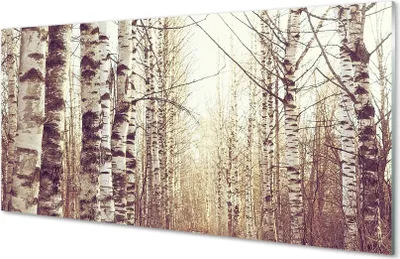 Produktbild von Glasbilder 120x60 Wandkunst Bäume