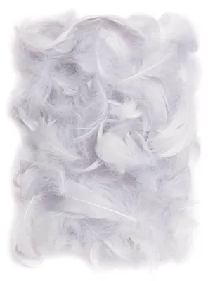 Produktbild von Graue Federn, 5–12 cm, 10 g – Dalprint
