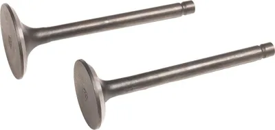 Obrázek produktu pro Ventily motoru Loncin cpl. LC2P77F LC2V80F ORIGINÁLNÍ DÍL 500550037-0001