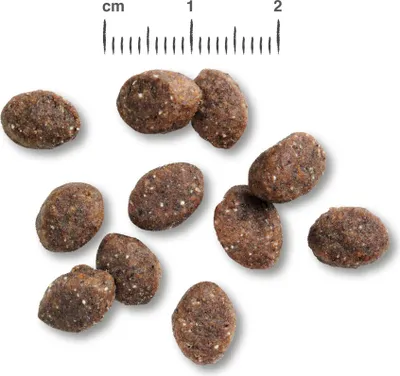 A collection of dog food kibbles on a white background with a ruler for scale.
