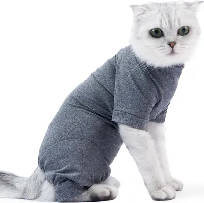 Produktbild von Haustier-Erholungsanzug für vier Beine, Bauchwundenjacke für Katzen