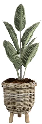 Produktbild von Pflanzen-/Blumenkorb - auf Beinen - Rattan - geflochten - D34 x H40 cm - Pflanztopf - Blumentopf