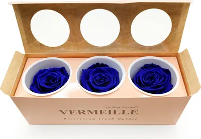 Produktbild von Stabilisierte Rose - Saphirblau - XL - 3 Stk