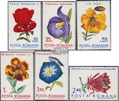 Produktbild von Briefmarken Rumänien 1971 Mi 2940-2945 (kompl.Ausg.) postfrisch Blütenpflanzen