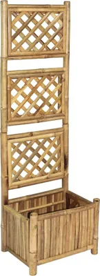 Image de Lit surélevé de jardin avec treillis Bambou 40 cm