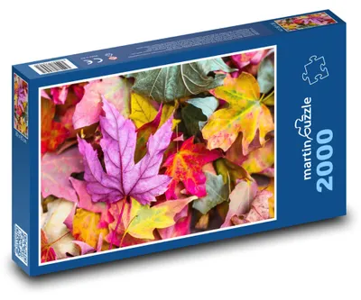 Obrázok produktu pre martinpuzzle – Puzzle 2000 – Farebné listy javora