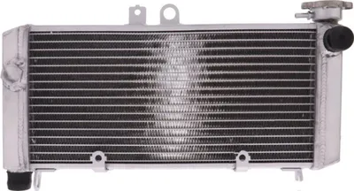 Immagine prodotto di Radiatore acqua JMP 2019040112 per Honda CBF 600