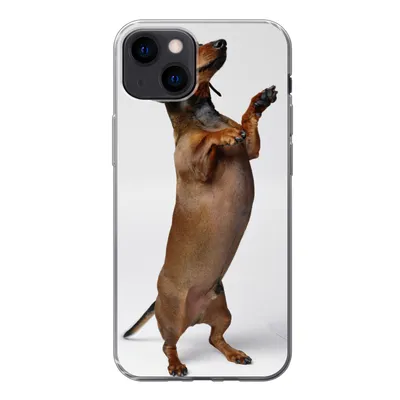 Produktbild von MuchoWow® Handyhülle Schutzhülle Hülle für iPhone 13 Ein Dackel, der auf seinen beiden Hinterbeinen steht Silikon Softcase Handy Hülle - Karteninhaber