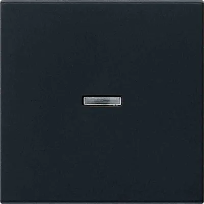 Produktbild von GIRA 0290005 Wippe Kontrollfenster System 55 Schwarz matt (lackiert)