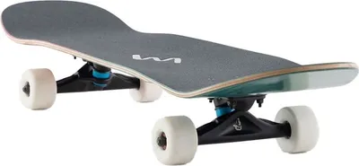 Produktbild von Landyachtz ATV X Cruiser Perfecto Raccoon – Ihr ultimativer Begleiter