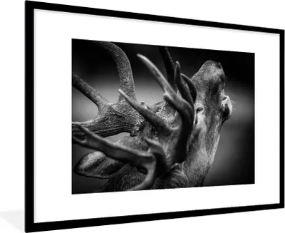 Produktbild von MuchoWow® MuchoWow® Gerahmtes Poster Geweih - Hirsch - Schwarz 90x60 cm - Poster mit zchwarzem Bilderrahmen - Wanddekoration - Fotos