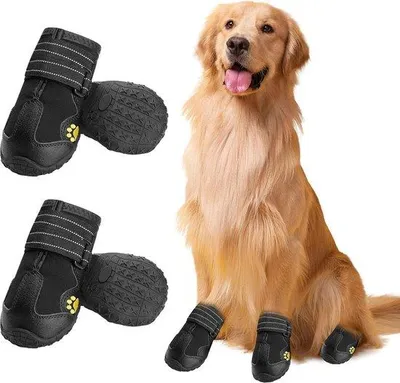 Image de Chaussures imperméables pour chiens avec fermeture velcro réfléchissante - chiens de taille moyenne et grande - bottes de sport pour chiens