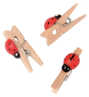 Immagine prodotto di confezione da 12 mollette per abiti con coccinelle