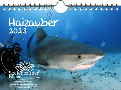 Produktbild von Haizauber DIN A5 Wandkalender für 2023 Haibabys - Seelenzauber