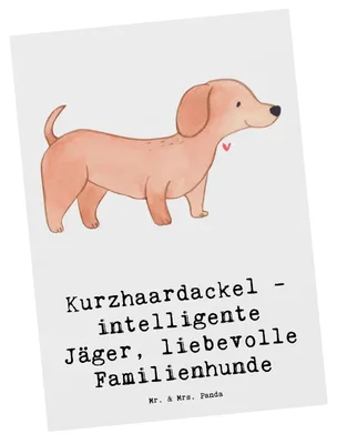 Produktbild von Mr. & Mrs. Panda Postkarte Kurzhaardackel Liebe - Weiß - Geschenk, Dackel Wesen, Hunderasse, Hunderassen Pflege, Postkarten, Herzensbrecher, wendige Hunde, Ansichtskarten