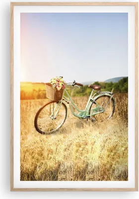 Produktbild von Gerahmtes Poster - Rahmen in heller Eiche - Fahrrad Wiese Blumen - 61x91,5 cm - Wand Bild - Wanddeko - Wandbilder - Wandposter - Bilderrahmen - Bilder - Kunstdruck - Wandbild - P2NPA61x91-4206