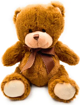A studio shot of a brown teddy bear.