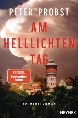 Produktbild von Buch: Am helllichten Tag - Kriminalroman über eine unaufgeklärte Verbrechensserie