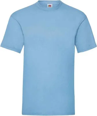 Produktbild von Fruit of the Loom - "Valueweight" T-Shirt für Herren RW9334 (L) (Himmelblau)