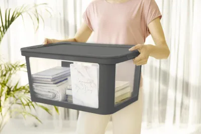 Produktbild von Rotho Aufbewahrungsbox Albris mit Deckel 57 x 39 cm 45 L schwarz
