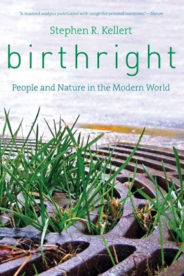 Produktbild von Birthright