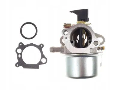 Immagine prodotto di Carburatore con strozzatura e guarnizioni per motore Briggs & Stratton B&S Quantum 498965